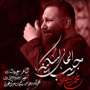 دانلود آهنگ محمد حسین حدادیان به نام جیب المای لسکینه