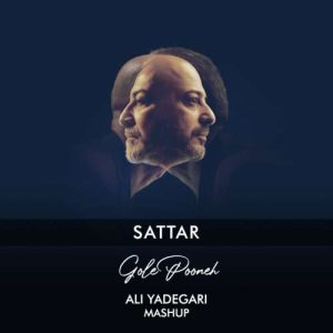 دانلود آهنگ دی جی علی یادگاری به نام ریمیکس گل پونه (ستار)